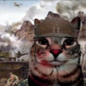 Meet your Posher, Edwin